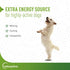 Vetoquinol Nutri-Cal 4.25 Oz - High Calorie Supplement for Cats and Dogs