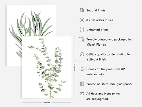 HAUS AND HUES Botanical Plant Wall Art Prints - Set of 4 Plant Wall Decor Prints, Floral Kitchen Plant Pictures, Flower Leaves Wall Art, Boho Leaf Eucalyptus Wall Décor