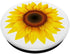 Sunflower Decor Girasol yellow Sun Flower White Background PopSockets Swappable PopGrip