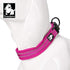 Dog Collar Reflective Premium Duraflex Buckle,High Grade Nylon Webbing No Choke Basic Collars Truelove TLC5011(Fushcia,XL)