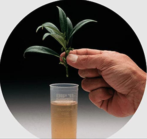 DIP N Grow DG00201 Liquid Hormone Concentrate Hydroponic Rooting Solution, 2-Ounce