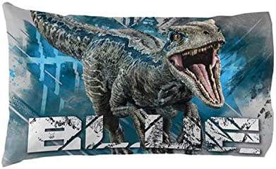 Jurassic World Eruption Standard Pillowcase Kids Polyester Pillow case 1 Piece 20 x 30 Inch