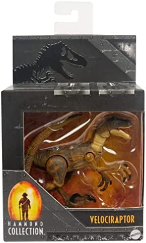 ?Jurassic World Jurassic Park Hammond Collection Velociraptor Dinosaur Action Figure, 7.5 in Long with 14 Movable Joints, Gift and Collectible