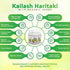 Kailash Herbals Organic Haritaki Capsules -100 Capsules-1950mg Detoxification & Rejuvenation - Improve Digestion, Internal Cleansing | -Terminalia chebula | Vegan, Non-GMO, Gluten-Free