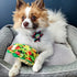 Lulubelles Power Plush | Taco Tuesday (Large) | Cinco de Mayo Dog Toy with Squeaker | Funny Dog Gift | Fun, Durable, and Safe | Huxley & Kent Squeaky Dog Toys