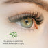 Sudden Change Eyelid Lifter Crème - Dimish Wrinkles & Eyelid Droop - Lift, Firm & Moisturize for Younger Looking Eyes - Formulated with Antioxidants - Makeup Friendly (0.5 oz)