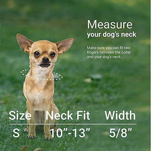 CollarDirect Purple Geometric Dog Collar, Pet Collar for Small Medium Large Dogs or Puppies with Quick Release Buckle, Yellow Orange Pattern, Adjustable Nylon (Teal, Neck Fit 10"-13")