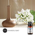 Rose Jasmine Essential Oil Set Aromatherapy 100% Pure Organic Oils for Diffuser, Massage, Skin- 2 x 10ml¡