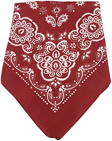 Blue Striped Child Engineer Hat, Red & White Paisley Bandana & Whistle Set
