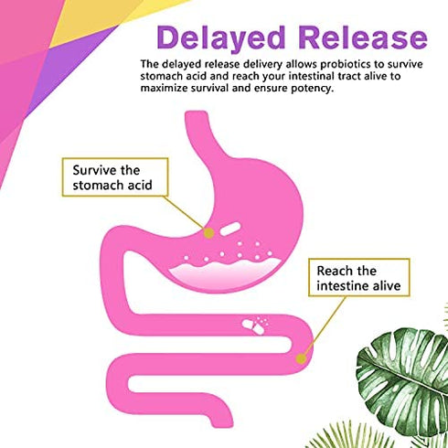 Doctor's Recipes Women’s Probiotic, 60 Caps 50 Billion CFU 16 Strains, with Organic Prebiotics Cranberry, Digestive Immune Vaginal & Urinary Health, Shelf Stable, Delayed Release, No Soy Gluten Dairy