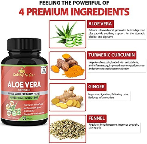 Organic Aloe Vera Extract Capsules Equivalent to 80100MG & Turmeric, Ginger, Fennel| Support Immune, Digestion| Natural Anti-Inflammatory, Antioxidants| Multi Nutrients, Vitamins, Minerals Supplement