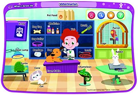 VTech Touch and Learn Activity Desk Deluxe Expansion Pack - When I Grow Up