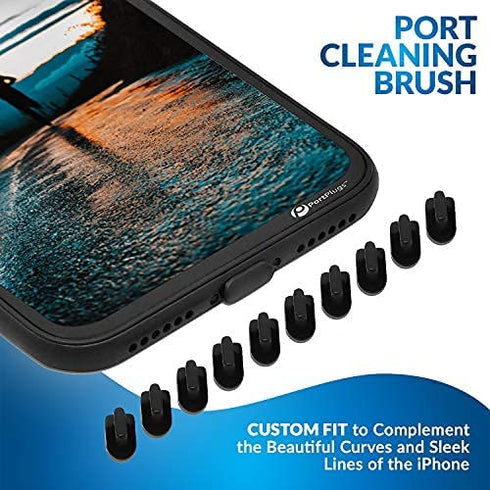PortPlugs Port Cleaning Kit (17 Piece) Compatible with iPhone 11, X, XS, 8, 8+, 7, 6, iPads, Charging Port Cleaning Tools Includes Dust Plugs, Foam Tipped Swabs and Cleaning Brush (Black)