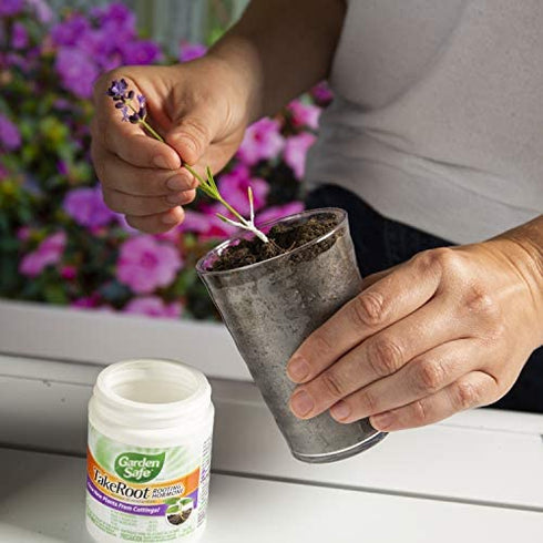 Garden Safe TakeRoot Rooting Hormone 2 oz, Helps New Plants grow from Cuttings