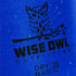 Wise Owl Outfitters Waterproof Dry Bag - Fully Submersible 1pk or 3pk Ultra Lightweight Airtight Waterproof Bags - 5L, 10L and 20L Sizes - Diamond Ripstop Roll Top Drybags