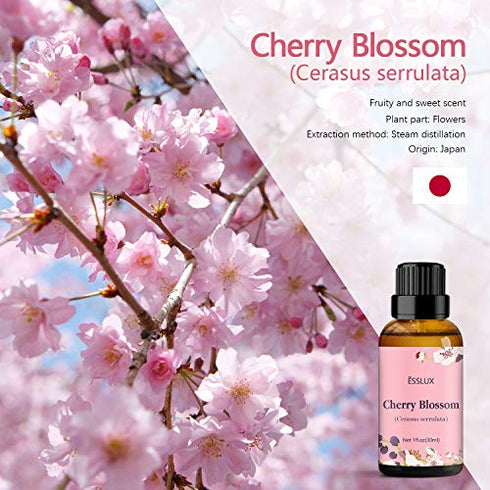 Cherry Blossom Essential Oil, ESSLUX Aromatherapy Oils for Diffuser, Massage, Soap, Candle Making, Perfume, 30 ml
