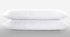 Body Pillow Protectors Waterproof 20x55 Pair Soft Set of 2 Breathable �¤️ Life Time Warranty �¤️ Membrane Smooth Fabric Zip Encasement Covers Cases White