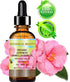Japanese ORGANIC CAMELLIA Seed Oil. 100% Pure/Natural/Undiluted/Refined/Cold Pressed Carrier Oil. Rich antioxidant to revitalize and rejuvenate the hair, skin and nails. 0.5 Fl.oz-15ml.