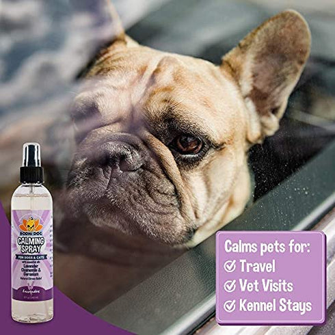 Bodhi Dog Natural Pet Cologne | Premium Scented Perfume Body Spray for Dogs and Cats | Clean and Fresh Scent | Natural Conditioning Qualities | Made in USA (Calming Lavender, 8 Fl Oz)
