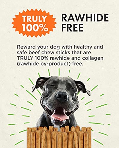 Canine Naturals Beef Chew - Rawhide Free Dog Treats - Made With Real Beef - Poultry Free Recipe - All-Natural and Easily Digestible - 5 Inch Stick Chews