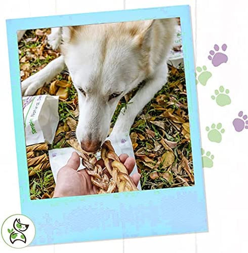 Nature Gnaws Bully Sticks Combo Pack - Premium Natural Beef Dental Bones - Long Lasting Dog Chew Treats for Aggressive Chewers - Rawhide Free