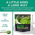 Jade Leaf Organic Matcha Green Tea Powder - Authentic Japanese Origin - Premium Second Harvest Culinary Grade (1.06 Ounce)
