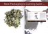 Yemeni Sidr Leaves - ??? ??? ???? - sourced from wild Sidr trees (Leaves 100g)