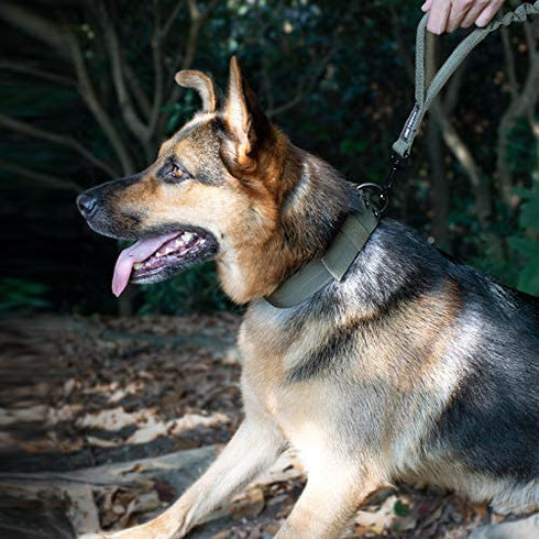 OneTigris Tactical Dog Training Bungee Leash with 2 Control Handle Quick Release Nylon Leads Rope(Ranger Green)