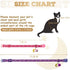 KOOLTAIL Cat Collar Breakaway with Bells - 6 Pack Glow in The Dark - Stars & Moon Charm Pendent Pet Reflective Collars Ideal for Kitten Cats Puppy