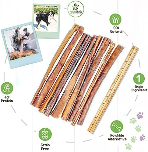 Nature Gnaws Bully Sticks for Large Dogs - Premium Natural Beef Dental Bones - Thick Long Lasting Dog Chew Treats for Aggressive Chewers - Rawhide Free