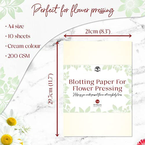 Blotting Paper for Flower Press by Berstuk® • Large A4 Flower Press Paper • Highly Absorbent and Reusable Herbarium Paper • Pack of 10 Blotting Paper Sheets