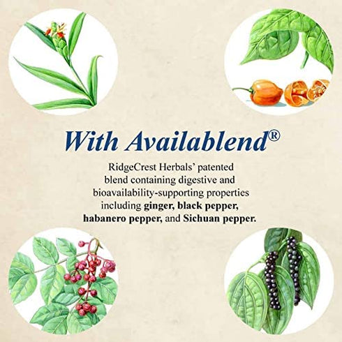 RidgeCrest Herbals SinusClear, Complete Sinus Support, 60 Vegetarian Capsules