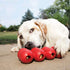 KONG - Extreme Goodie Ribbon - Durable Rubber Stuffable Dog Toy - for Medium Dogs