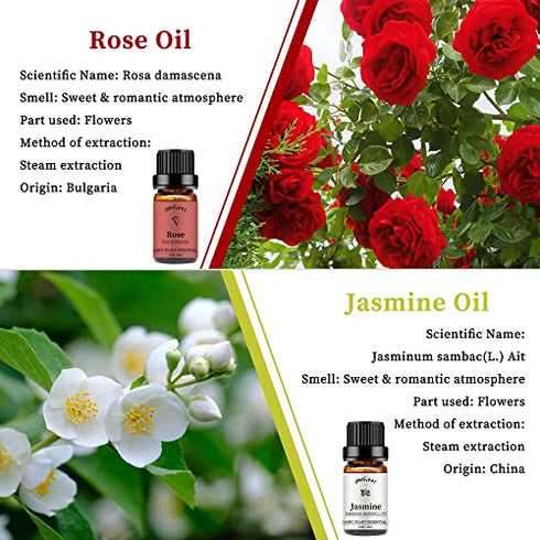 yethious Rose Essential Oil Jasmine Essential Oil Rose Essential Oils Set 2 Pack Organic Rose Oil Essential Oil Undiluted Aromatherapy Oils for Diffuser, Perfume, Soap, Candle Making 2 X 10ML