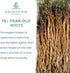 Holistic Bin Indonesian Tongkat Ali Capsules 1000mg Per Serving | Wild Harvested Eurycoma Longifolia Roots from Sumatra | No Fillers - 100% Pure Tongkat Ali for Men and Women (30 Day Supply)
