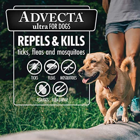 Advecta Ultra Flea and Tick Prevention for Dogs, Dog Flea and Tick Treatment, Waterproof Topical, Fast Acting, Small Dogs (4-10 lbs), 4 Doses
