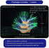 Bluecoco Soft Silica Gel Moves Naturally with Water Flow, Aquarium Decorations Glow in The Dark, Glowing Coral Ornaments for Fish Tank Decorations (Green, Anemone)