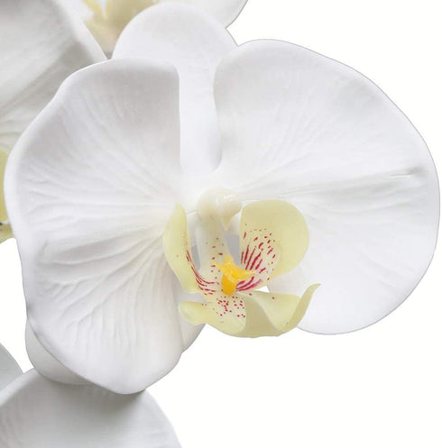 Htmeing 38 Inch Artificial Phalaenopsis Flowers Branches Real Touch (Not Silk) Orchids Flowers for Home Office Wedding Decoration,Pack of 2 (White)