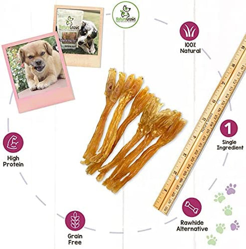 Nature Gnaws Tendons for Dogs - Premium Natural Beef Sticks - Simple Single Ingredient Tasty Dog Chew Treats - Rawhide Free - 4-5 Inch (5 Count)