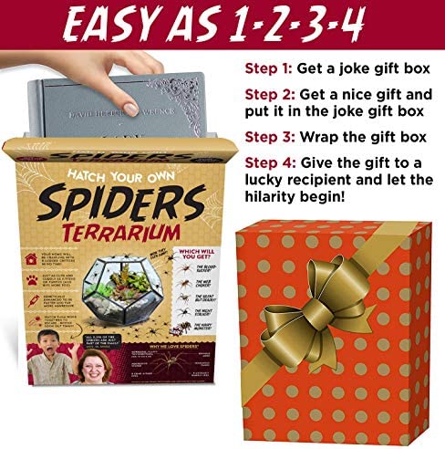 Seymour Butz Prank Gift Box Hatch Your Own Spider Terrarium - Perfect Gag Gift and Funny White Elephant Idea