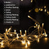 echosari 100 LEDs Outdoor LED Fairy String Lights Battery Operated with Remote (Dimmable, Timer, 8 Modes) - Warm White