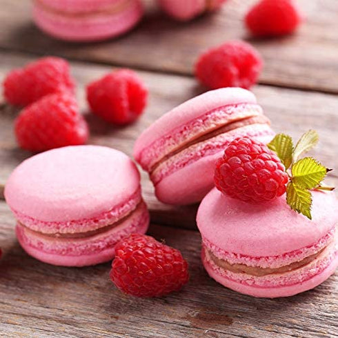 Kasmoire 9 Pcs Round Piping Tip ,Macaron Piping Tip ,Cake and Cookie Decorating Plain Tube Set
