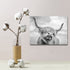 Highland Cow Black and White Canvas Wall Art Animal Print Pictures Highland Cattle Photo Framed Farmhouse Painting 12x16 inches for Home Decor