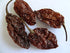 Ghost Pepper Chili Whole (Bhut Jolokia Chili/Ghost Pepper Pod) – 2.5 oz/71 gm, 100% Pure, Smoked, Hottest & Spicy Chili of the world, Add Unique, Delicious, and Smoky Flavour to Your Favourite Dishes