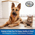 Four Paws Quick Blood Stopper Antiseptic Styptic Powder, .5 oz