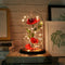 Beauty and The Beast Rose ,Rose Kit, Red Silk Rose and Led Light with Fallen Petals in Glass Dome on Wooden Base Valentine's Day Anniversary Birthday