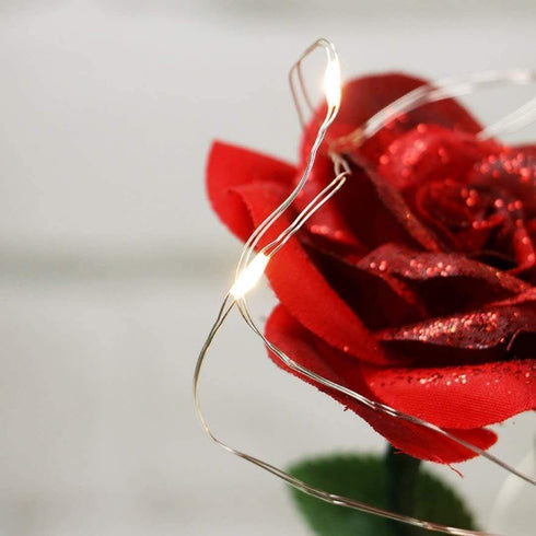 Beauty and The Beast Rose ,Rose Kit, Red Silk Rose and Led Light with Fallen Petals in Glass Dome on Wooden Base Valentine's Day Anniversary Birthday