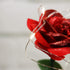 Beauty and The Beast Rose ,Rose Kit, Red Silk Rose and Led Light with Fallen Petals in Glass Dome on Wooden Base Valentine's Day Anniversary Birthday