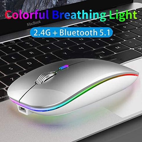 TENMOS Wireless Bluetooth Mouse, LED Slim Dual Mode (Bluetooth 5.1 + USB) 2.4GHz Rechargeable Silent Bluetooth Wireless Mouse with Type C Adapter for Laptop/MacBook/iPad OS 13 and Above (Silver)