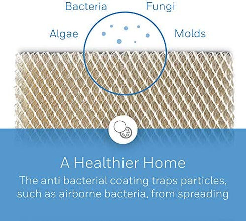 Honeywell Home HC26P Whole House Humidifier Pad